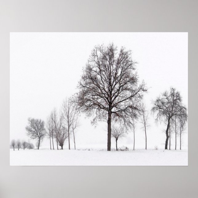 Affiche Champs autour de Scalenghe | Piémont, Italie (Devant)