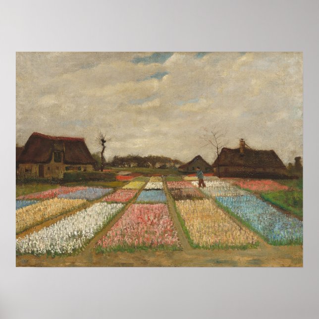 Affiche Champs d'ampoules - Van Gogh paysage de fleurs (Devant)