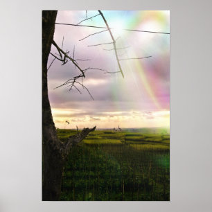 Affiche Champs de Bali