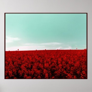 AFFICHE CHAMPS STRAWBERRY POUR TOUJOURS