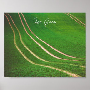 Affiche Champs verts