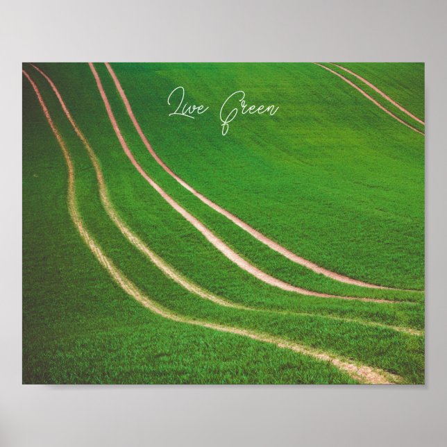 Affiche Champs verts (Devant)