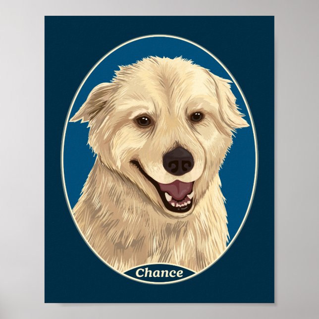 Affiche Chance (Devant)