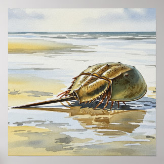 Affiche Chandail à cheval Crab Crawling Accueil