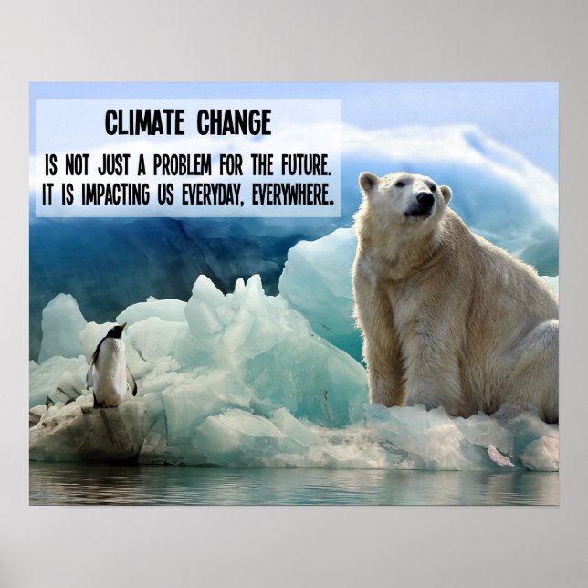 Affiche Changement climatique avec le pingouin et l'ours p (Devant)