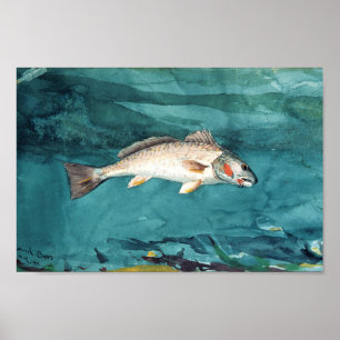 Affiche Channel Bass Peinture américaine par Homer