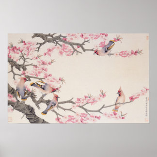 Affiche Chanter des oiseaux au printemps