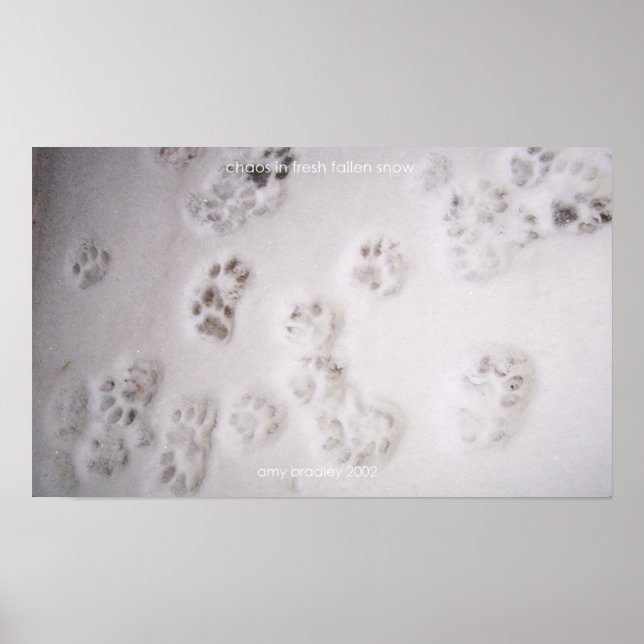 Affiche chaos dans la neige fraîche tombée (Devant)