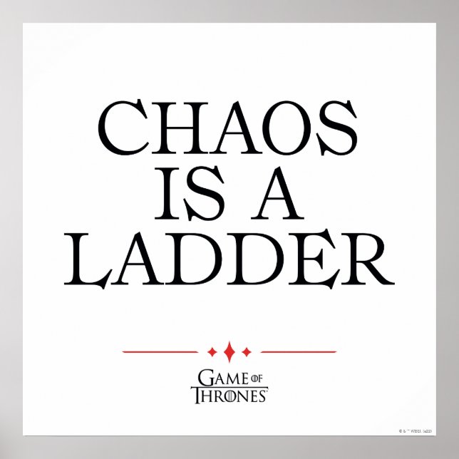 Affiche Chaos Is A Ladder (Devant)