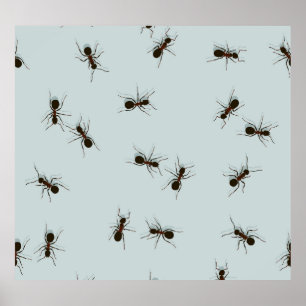 Affiche Chaotique Red Ants Motif élégant