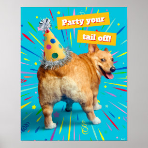 Affiche Chapeau d'anniversaire Corgi Butt