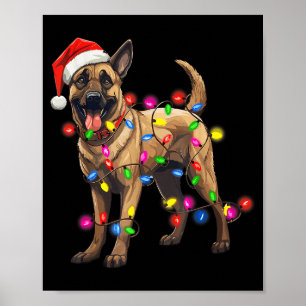 Affiche Chapeau de Noël de Santa pour chien Malinois belge