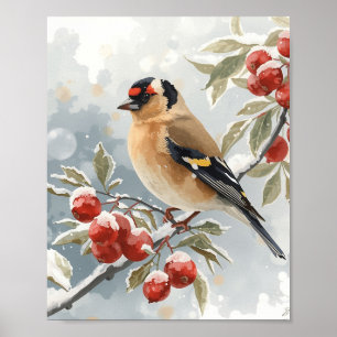 Affiche Chardonneret élégant à l'aquarelle avec rouge givr