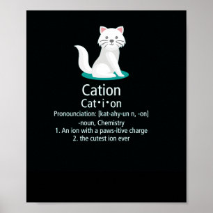 Affiche charge pawsitive d'ion de chat