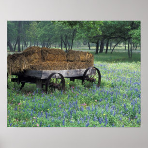 Affiche chariot ancien dans