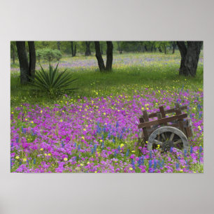 Affiche Chariot en bois dans un champ de Phlox, Blue Bonne