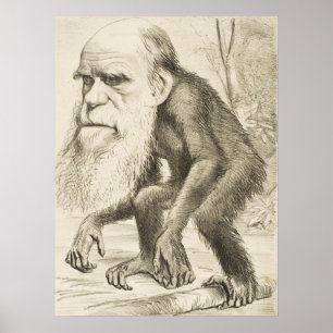 Affiche Charles Darwin