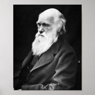 Affiche Charles Darwin