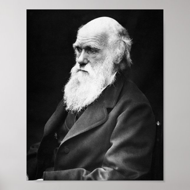 Affiche Charles Darwin (Devant)