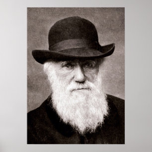 Affiche Charles Darwin
