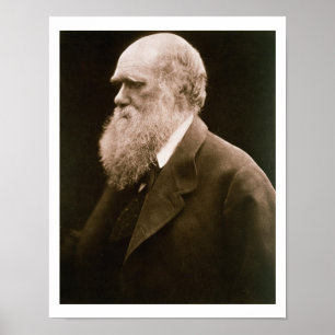 Affiche Charles Darwin (1809-82) (photo)