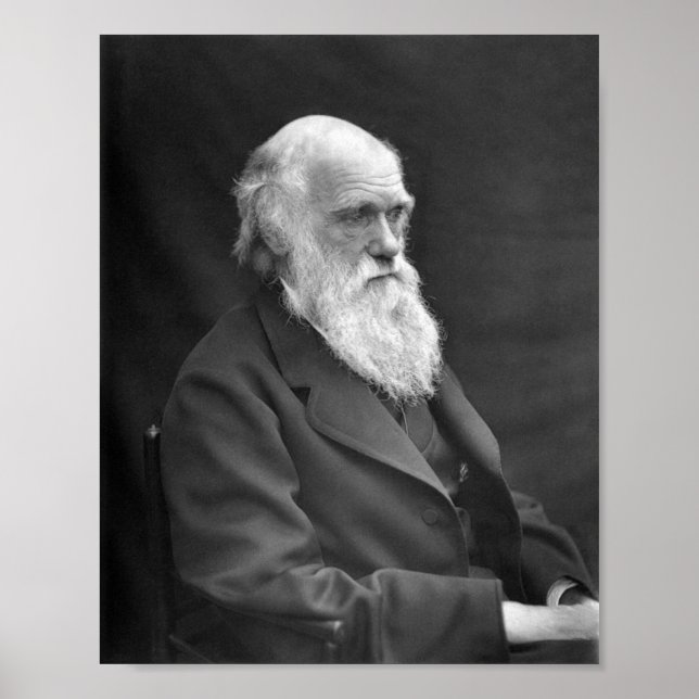 Affiche Charles Darwin Portrait - 1874 (Devant)
