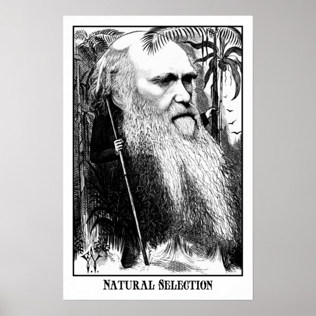 Affiche Charles Darwin - Sélection naturelle (Devant)