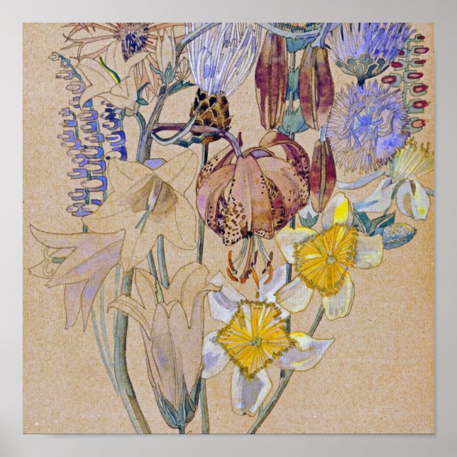 Affiche Charles Rennie Mackintosh - Mont Louis - Fleur (Devant)