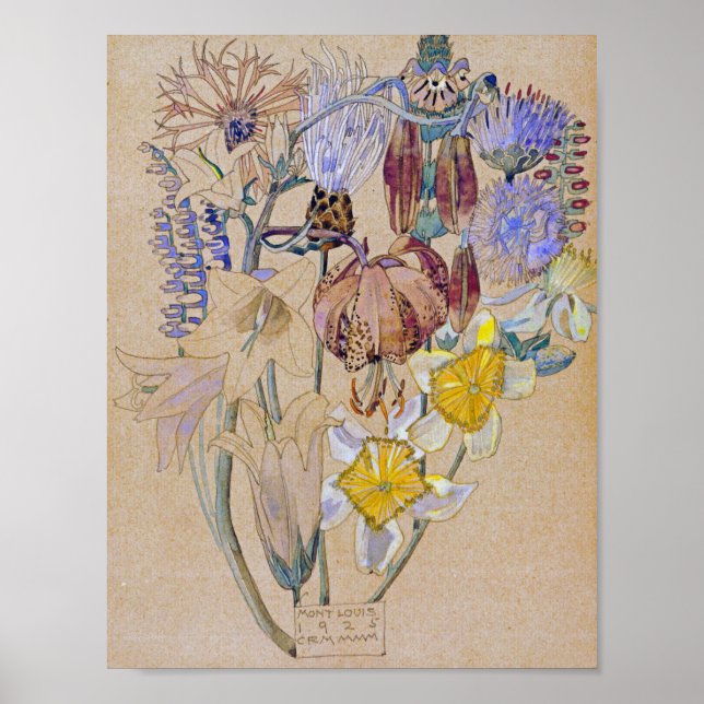 Affiche Charles Rennie Mackintosh - Mont Louis - Fleur (Devant)