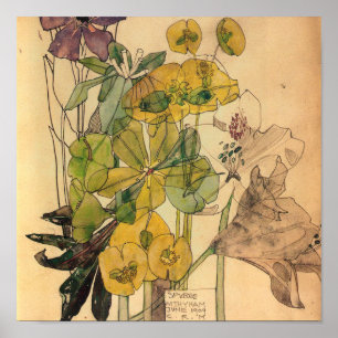 Affiche Charles Rennie Mackintosh - Spurge With Yham 1909