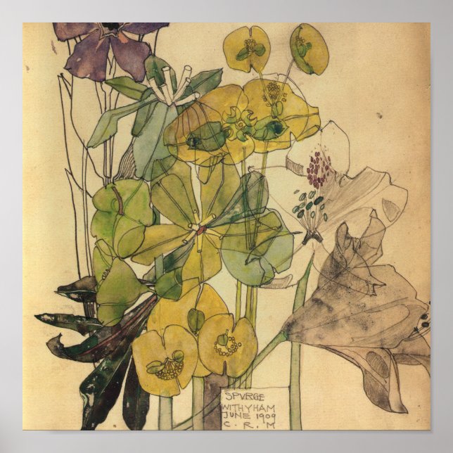 Affiche Charles Rennie Mackintosh - Spurge With Yham 1909 (Devant)