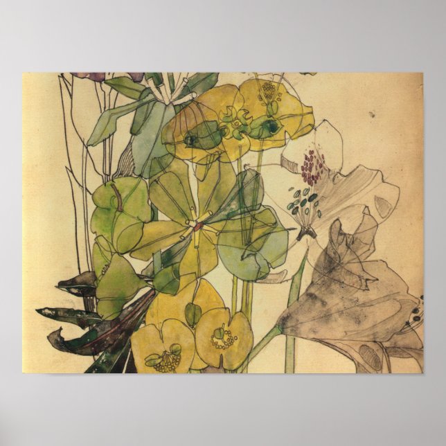 Affiche Charles Rennie Mackintosh - Spurge With Yham 1909 (Devant)