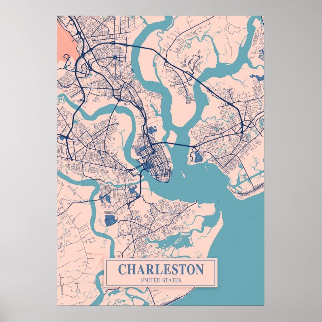 Affiche Charleston - États-Unis Breezy City Map (Devant)