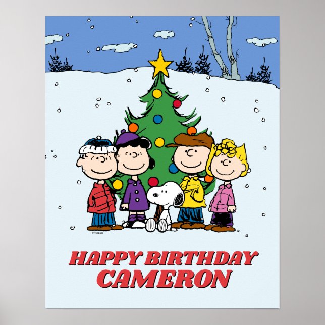 Affiche Charlie Brown et ses amis Anniversaire d'hiver (Devant)