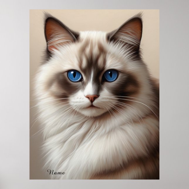 Affiche Charmant Ragdoll Chat Art Pet Lover (Devant)
