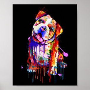 Affiche Charmante Chien-ciel Couleurs Arc-en-ciel Art Plât