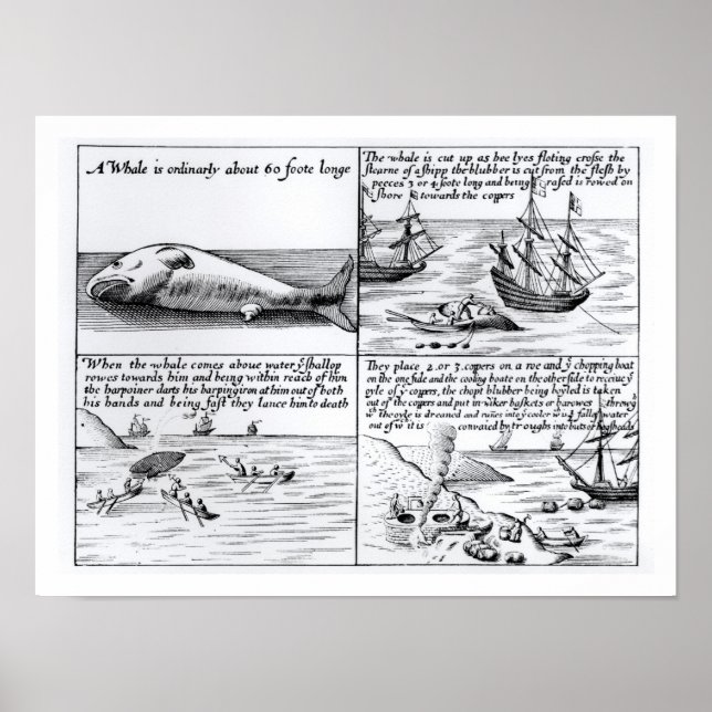 Affiche Chasse à la baleine à Spitzbergen en 1611 (gravure (Devant)