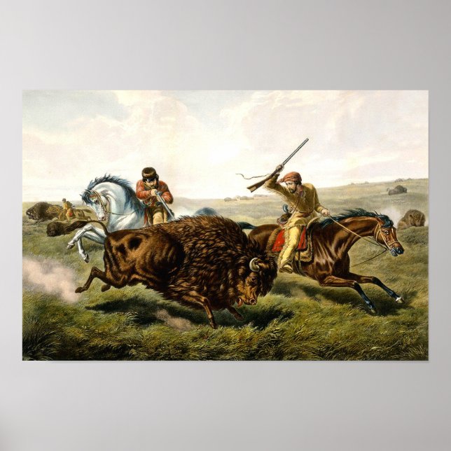 Affiche Chasse au bison aux États-Unis (Devant)
