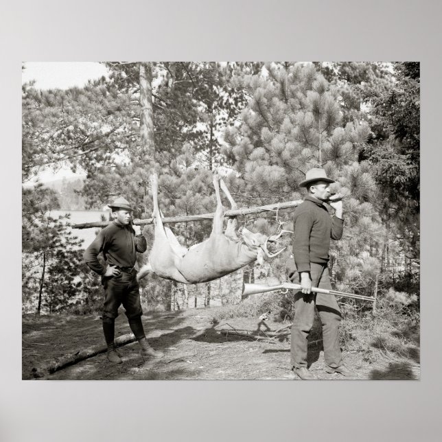 Affiche Chasse au cerf, 1902. Photo ancienne (Devant)