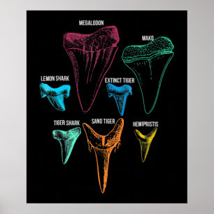 Affiche Chasse aux dents de requin - Cadeaux de requin fou