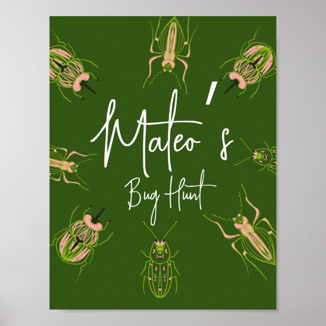 Affiche Chasse aux insectes Anniversaire dessinés à la mai (Devant)