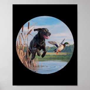 Affiche Chasse Black Labrador Lab Chasse aux canards. Oise