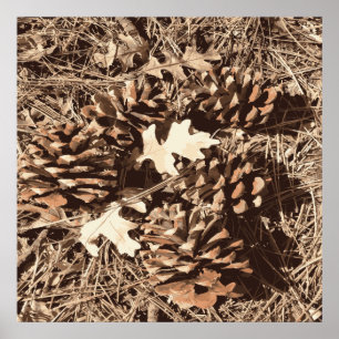 Affiche Chasse Camo Camouflage Cadeaux pour chasseurs