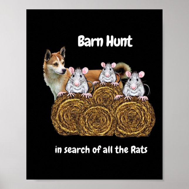 Affiche Chasse De Byrn Drôle À La Recherche De Rats Avec U (Devant)