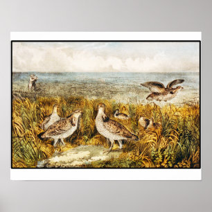 Affiche Chasse de cailles - beaux-arts vintages