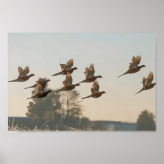 Affiche Chasse début de saison chasseur de primes