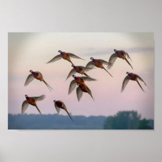 Affiche Chasse début de saison chasseur de primes