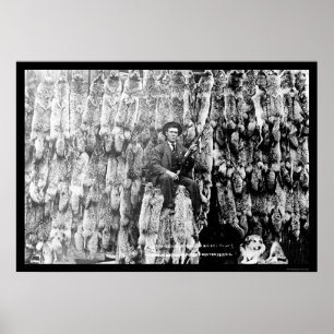 Affiche Chasseur de coyote parmi plus de 60 peaux 1913