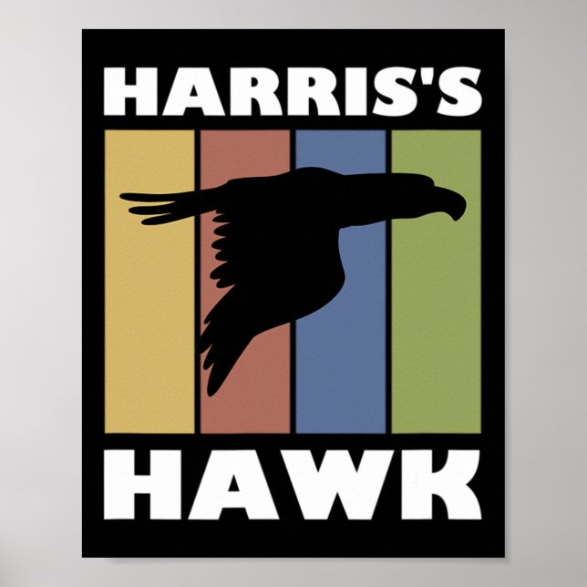 Affiche Chasseur de faucon hawk (Devant)