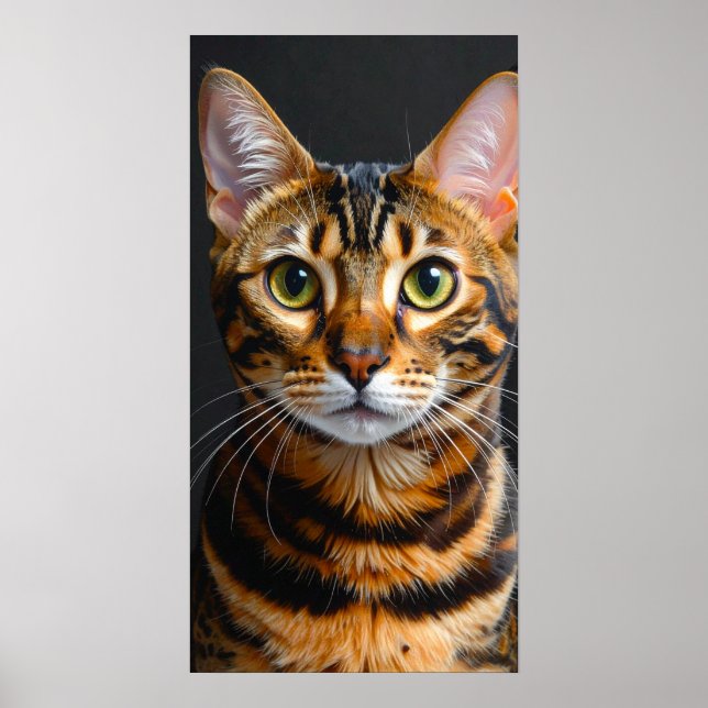 Affiche chat (Devant)